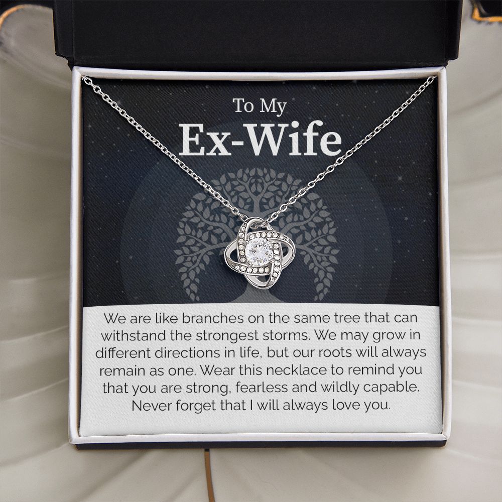 To My Ex-Wife: Love Transcends Labels – From Your Former Husband