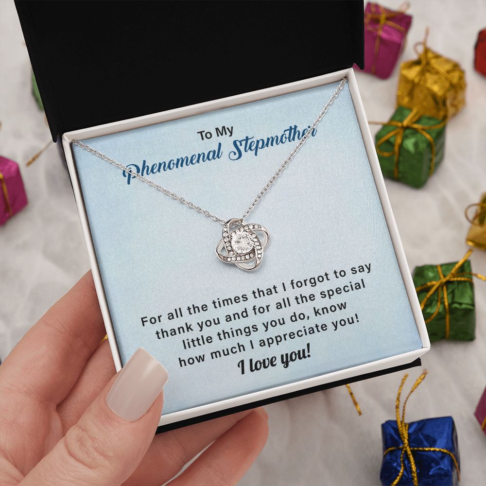 To My Phenomenal Stepmother For All The Time That I Forgot To Say Thank You, I Love You
