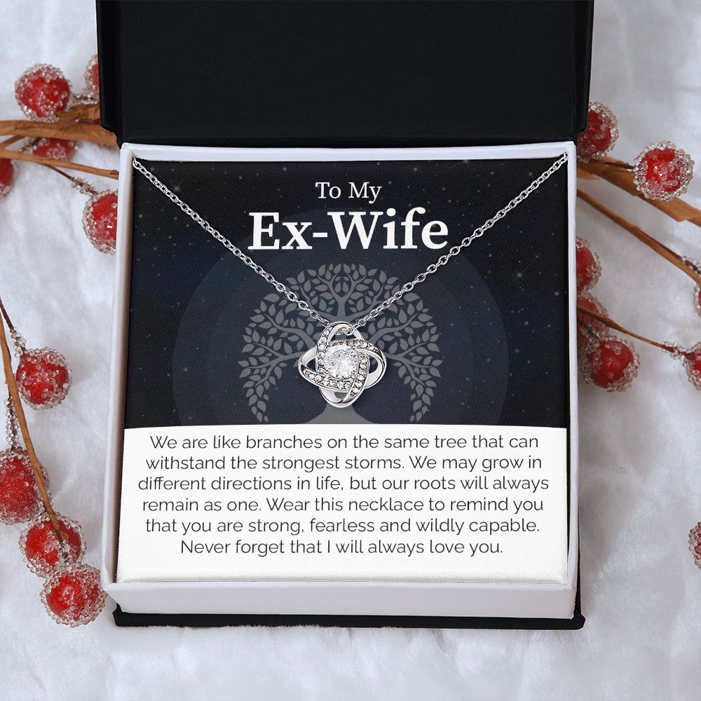 To My Ex-Wife: Love Transcends Labels – From Your Former Husband