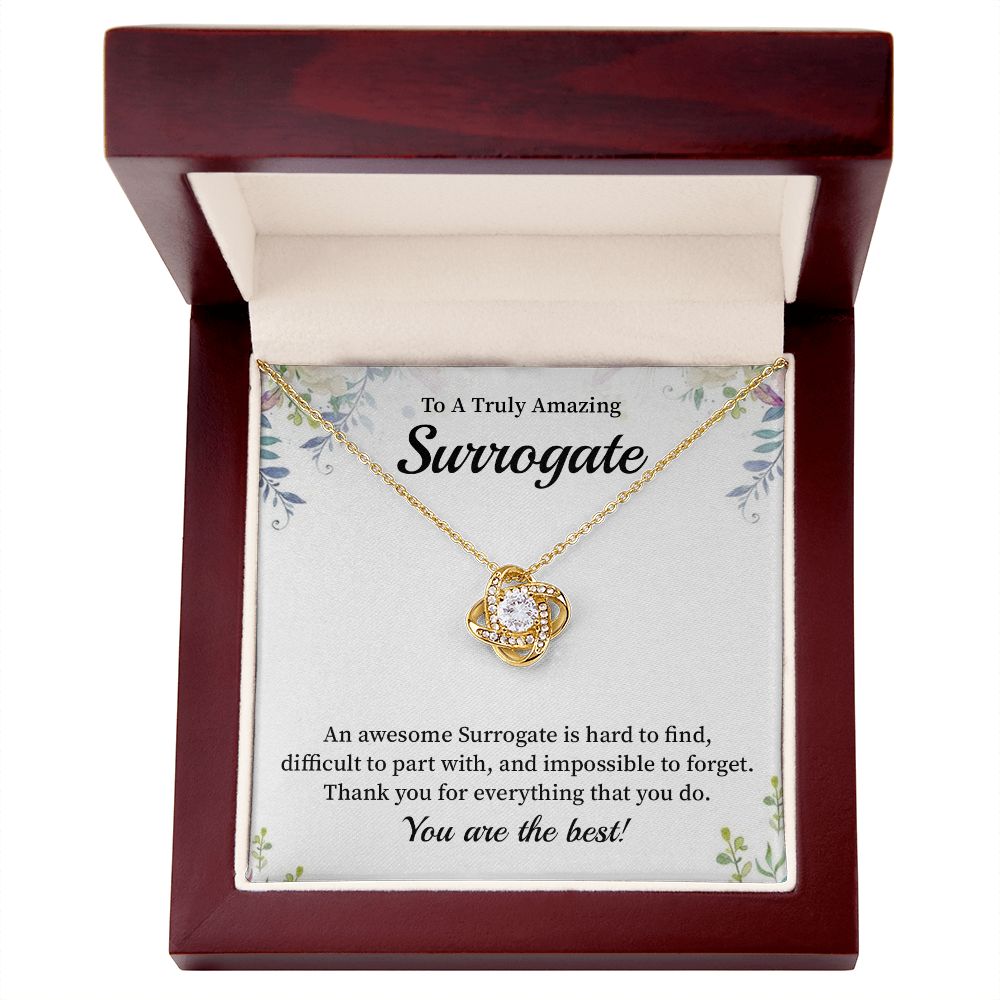 To A Truly Amazing Surrogate You Are The Best