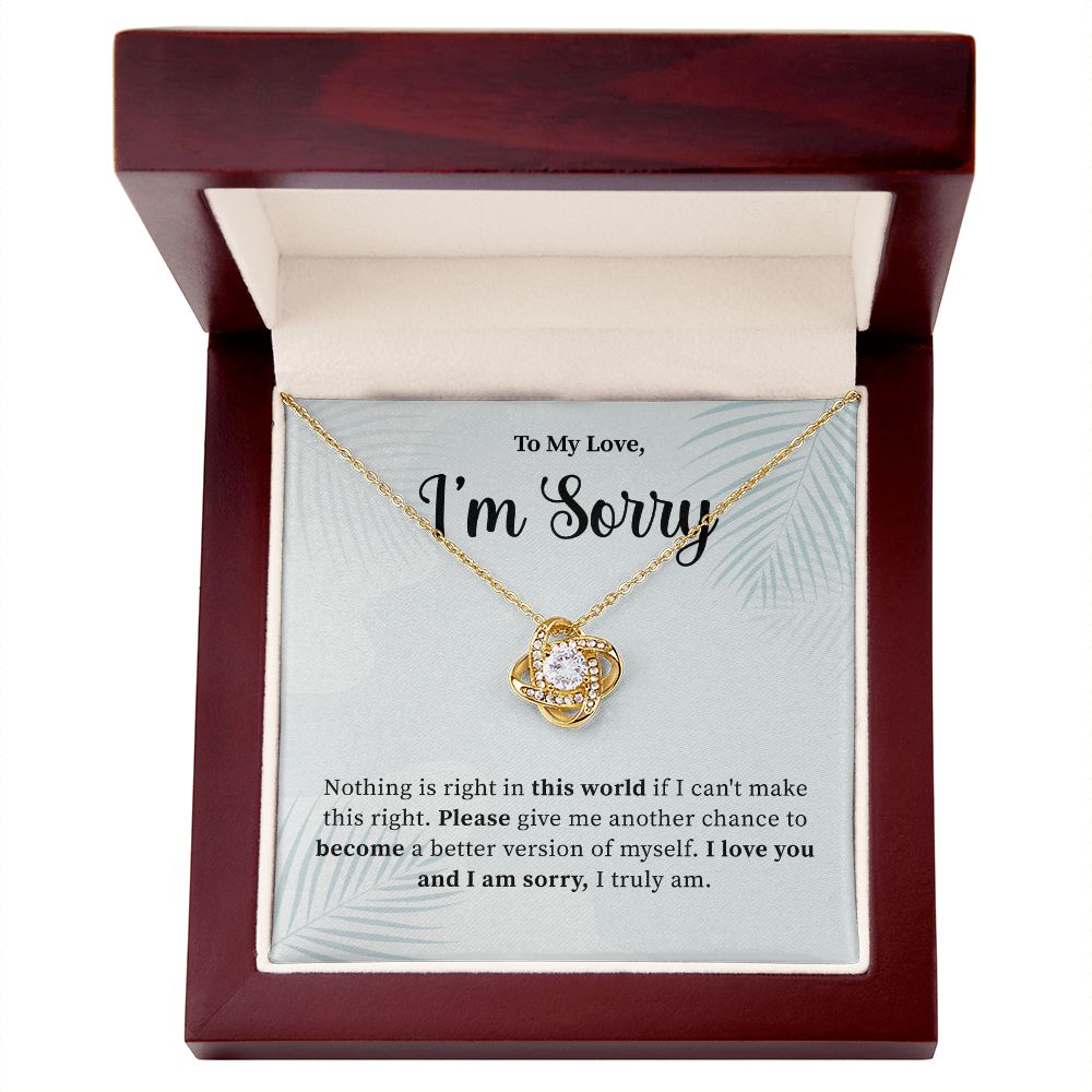 To My Love, I'm Truly Sorry