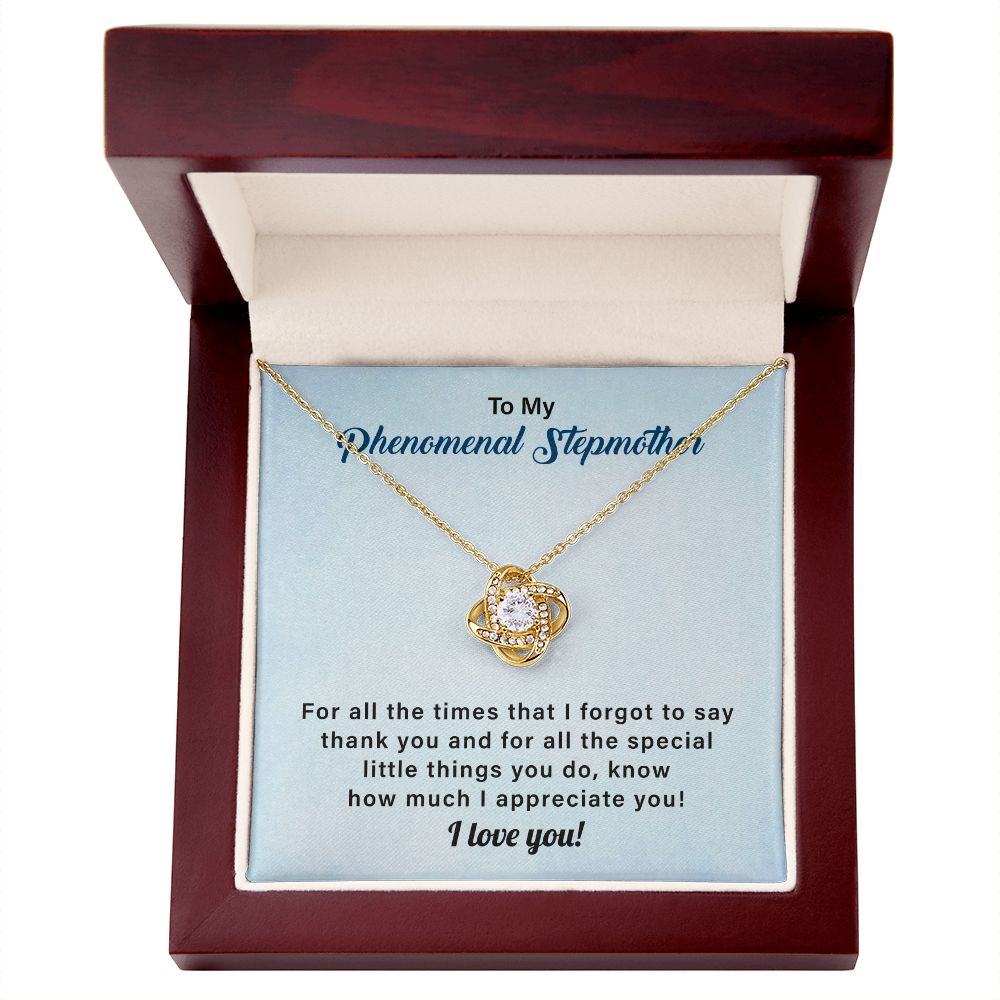 To My Phenomenal Stepmother For All The Time That I Forgot To Say Thank You, I Love You