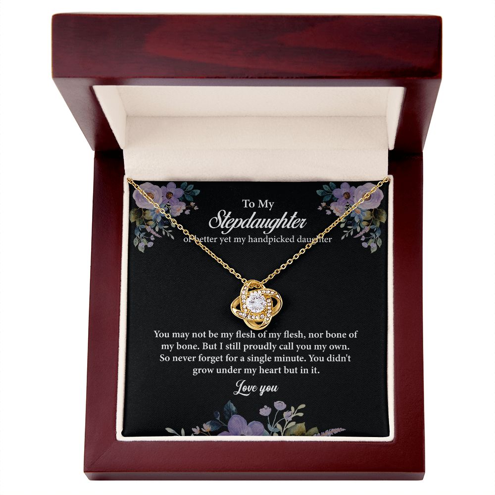 To My Stepdaughter or Better Yet My Handpicked Daughter So Never Forget For A Single  Minute