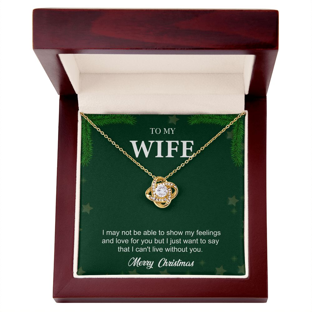To My Wife From Husband (Christmas Event)