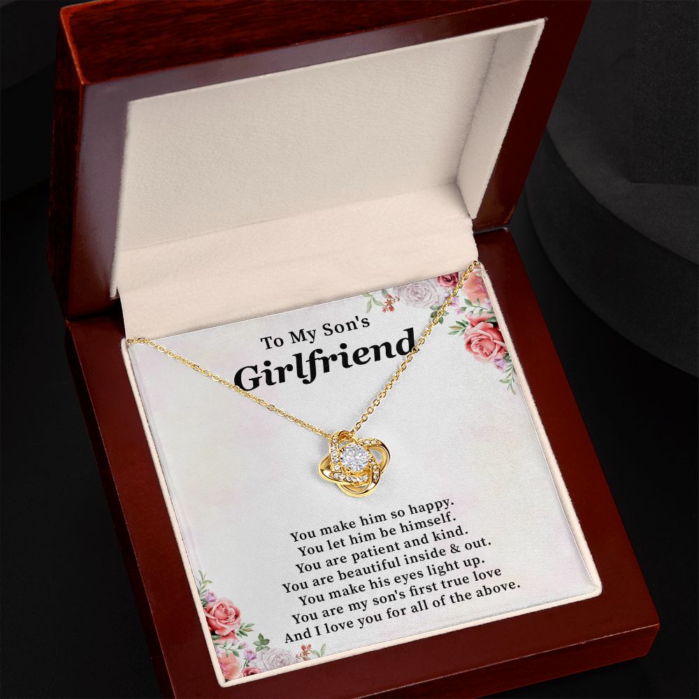 To My Son's Girlfriend I Love You For All Of The Above