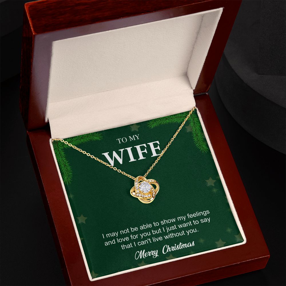 To My Wife From Husband (Christmas Event)