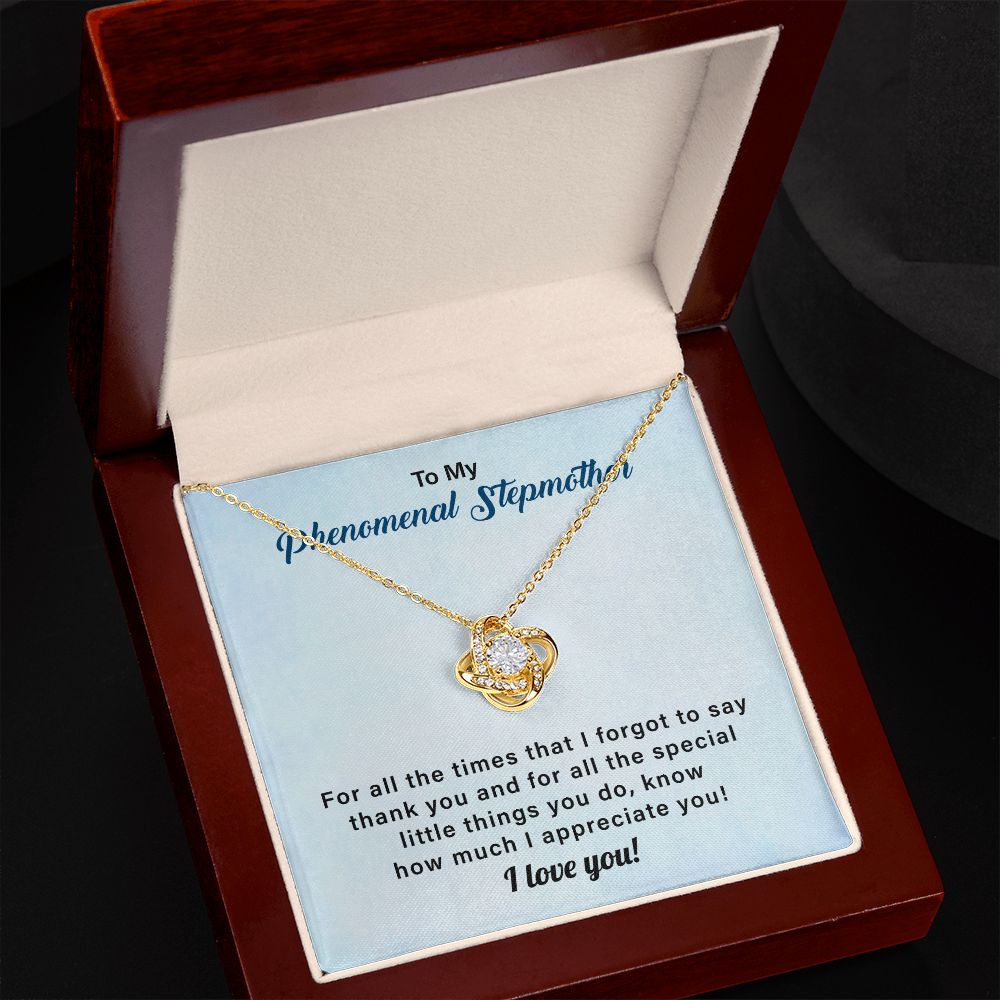 To My Phenomenal Stepmother For All The Time That I Forgot To Say Thank You, I Love You