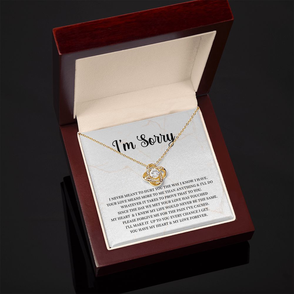 I Am Sorry From Husband or Boyfriend