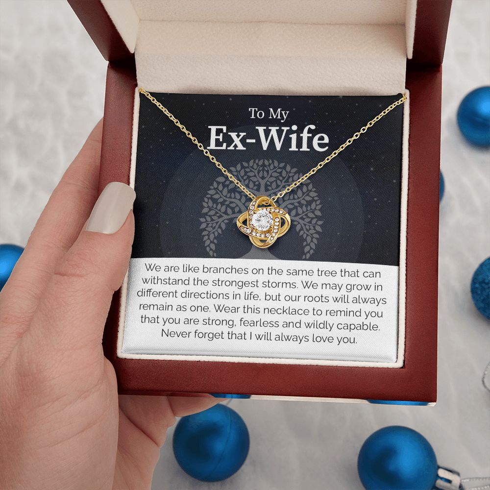 To My Ex-Wife: Love Transcends Labels – From Your Former Husband