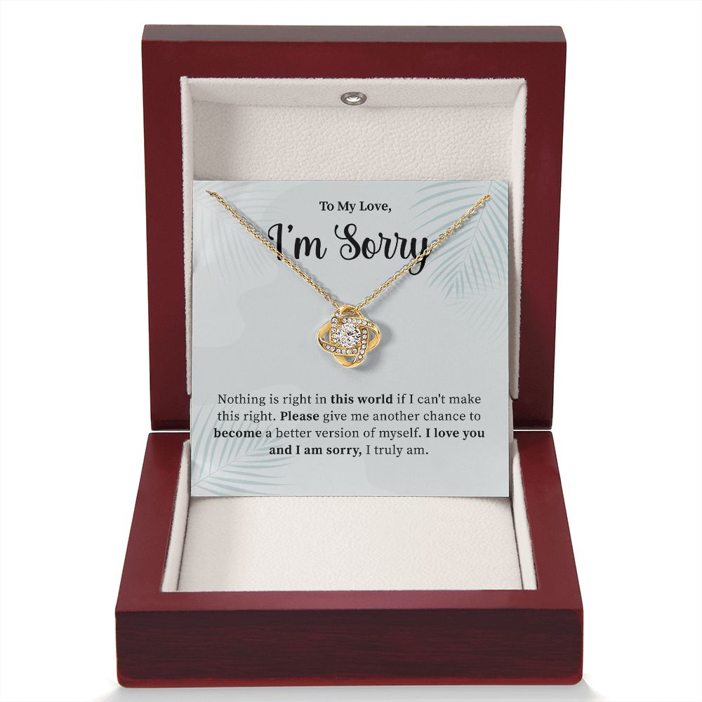 To My Love, I'm Truly Sorry