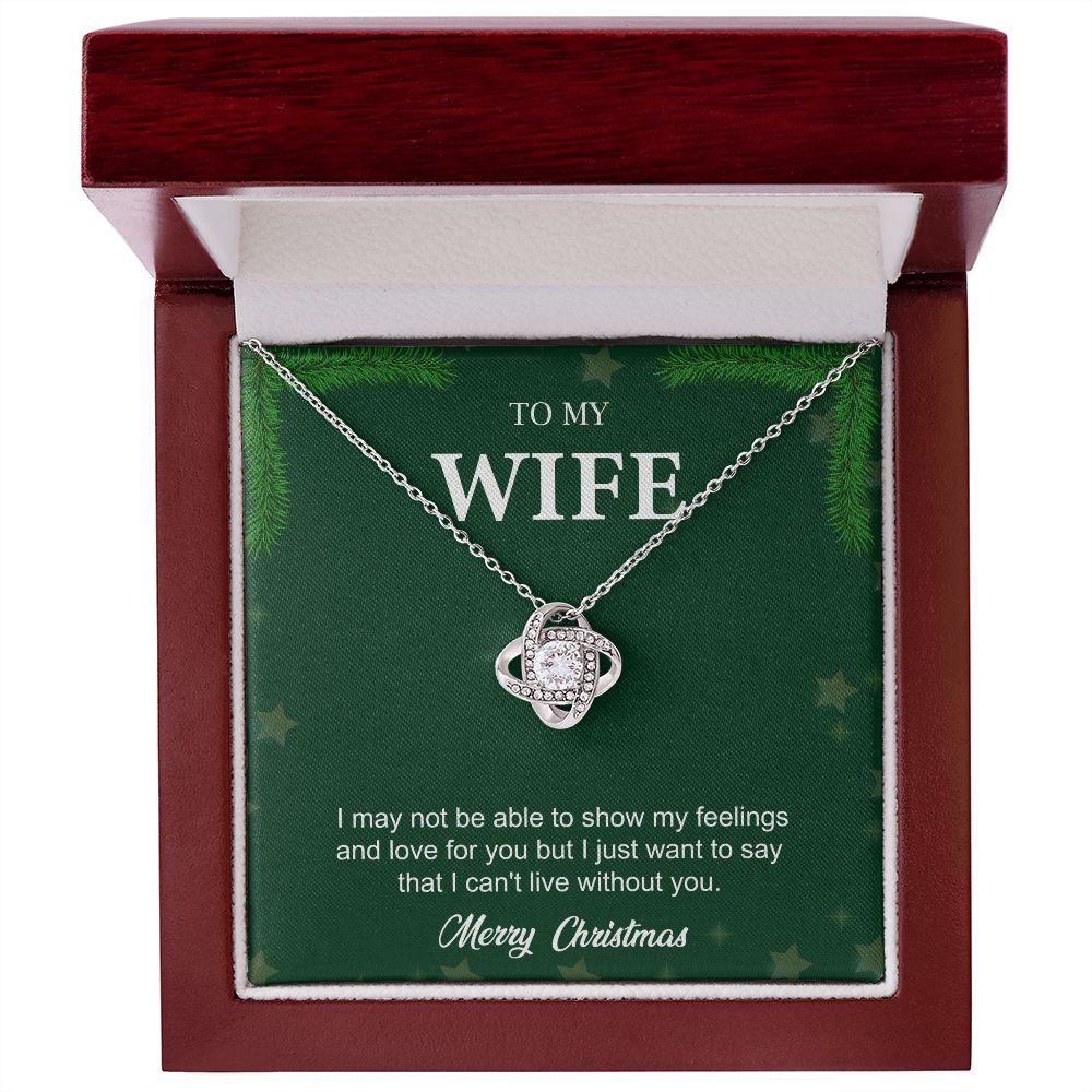 To My Wife From Husband (Christmas Event)