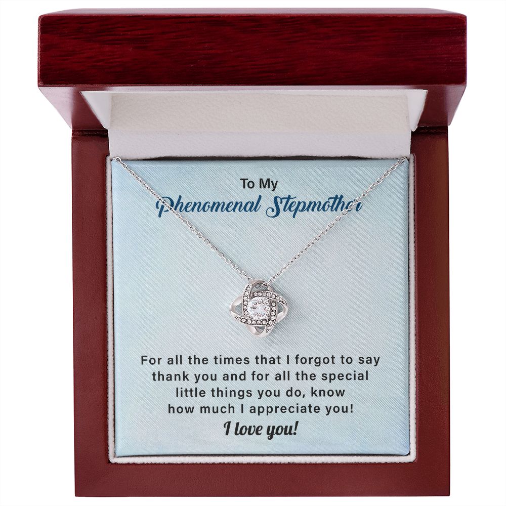 To My Phenomenal Stepmother For All The Time That I Forgot To Say Thank You, I Love You