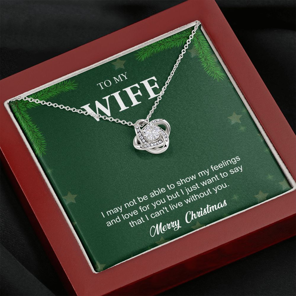 To My Wife From Husband (Christmas Event)