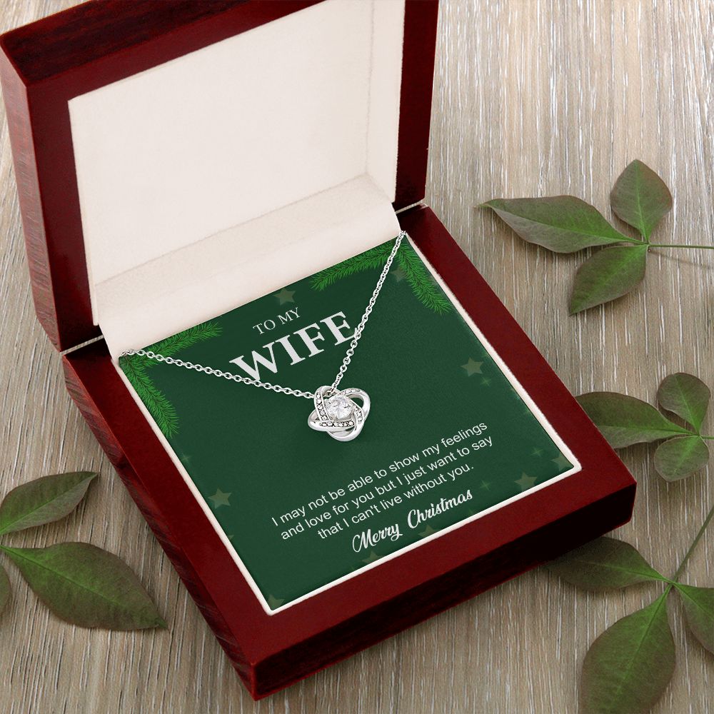 To My Wife From Husband (Christmas Event)