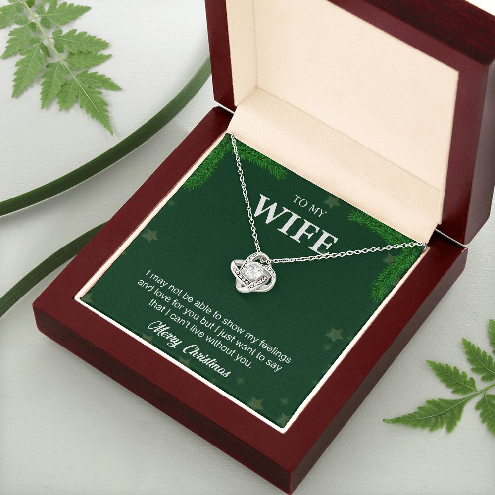 To My Wife From Husband (Christmas Event)