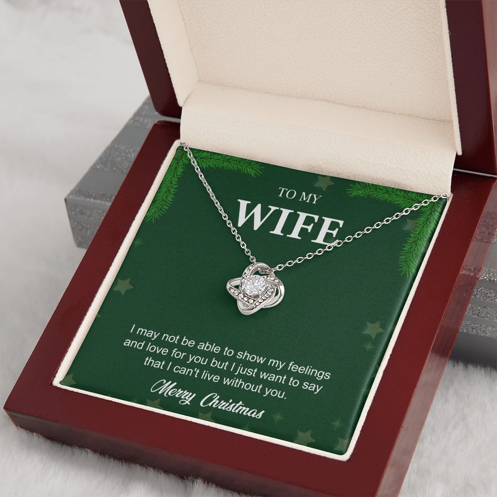 To My Wife From Husband (Christmas Event)