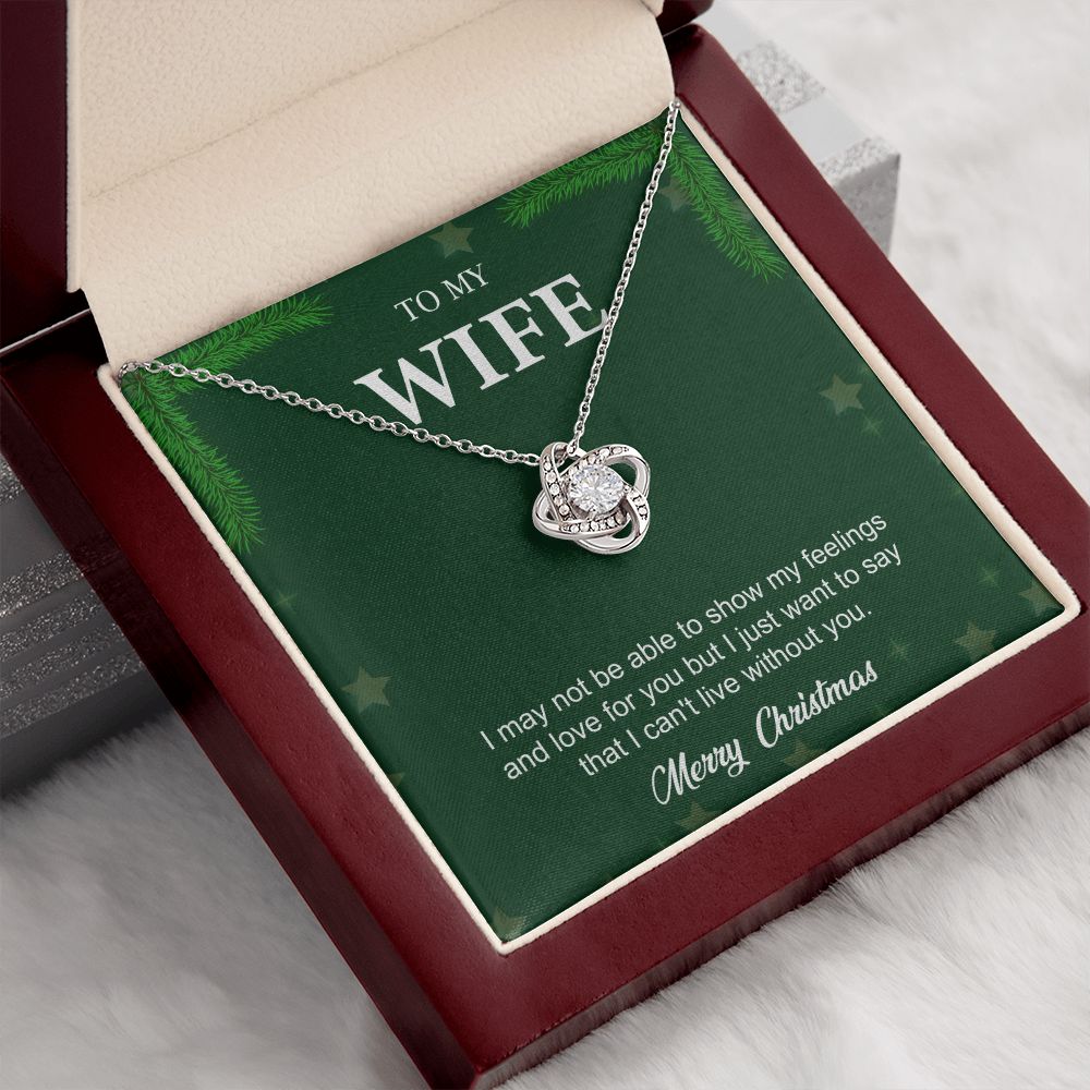 To My Wife From Husband (Christmas Event)