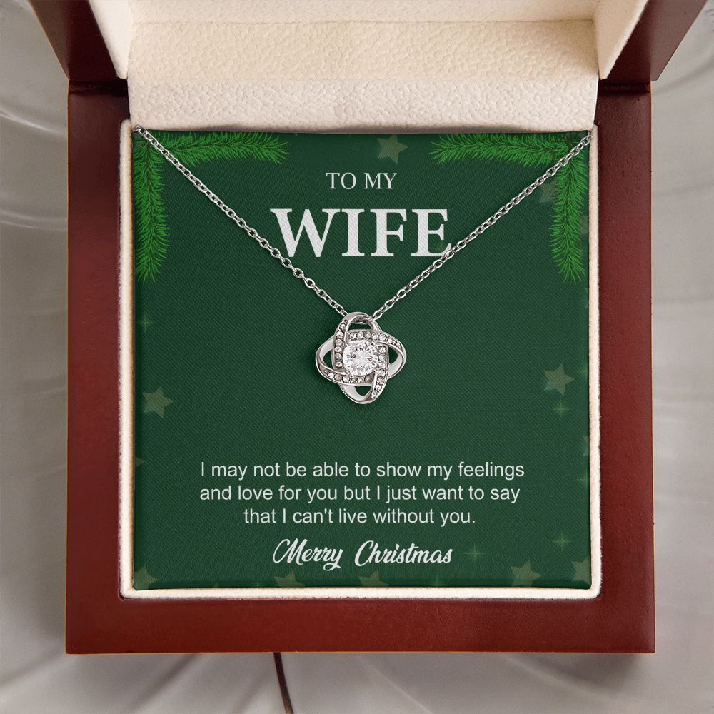 To My Wife From Husband (Christmas Event)