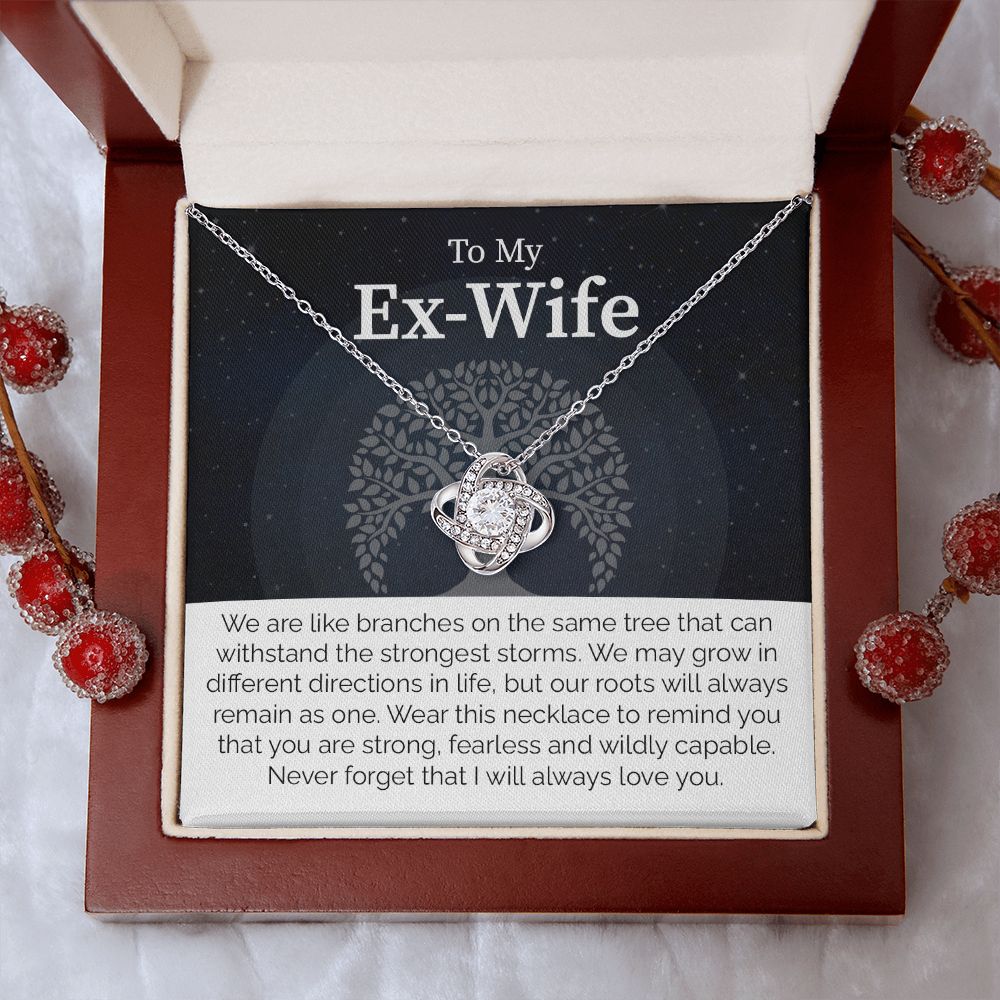 To My Ex-Wife: Love Transcends Labels – From Your Former Husband