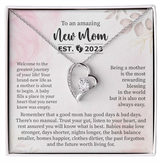 To an Amazing New Mom, Established 2023