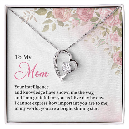 To My Mom I Can't Express How Important You Are To Me
