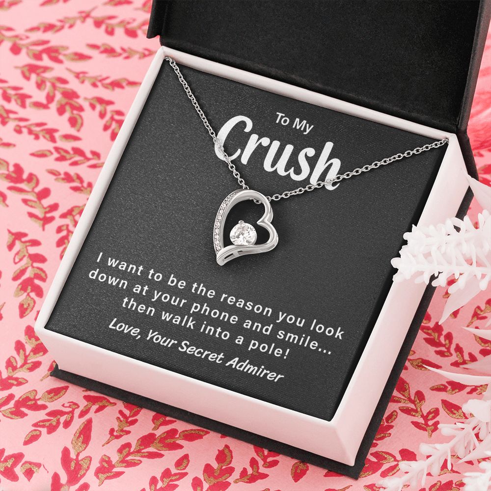 To My Crush Love, Your Secret Admirer