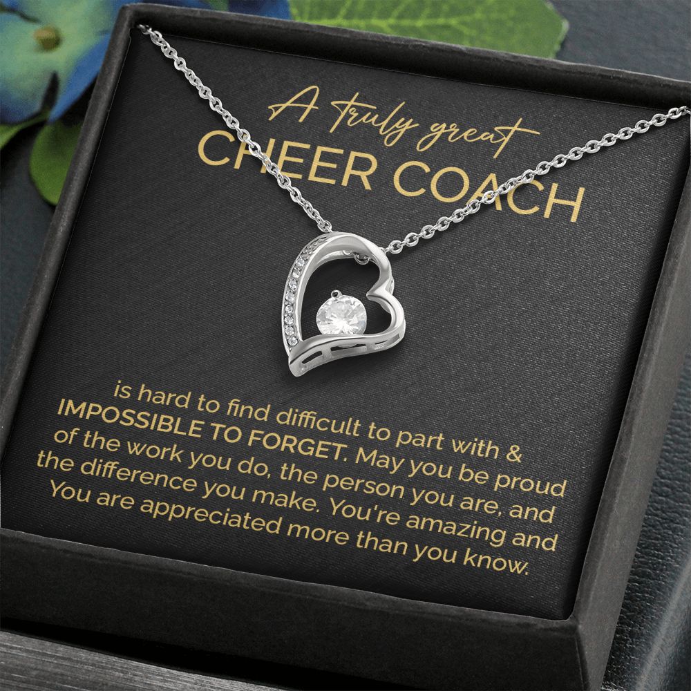 To Truly Great Cheer Coach You Are Amazing And You Are Appreciated More Than Know