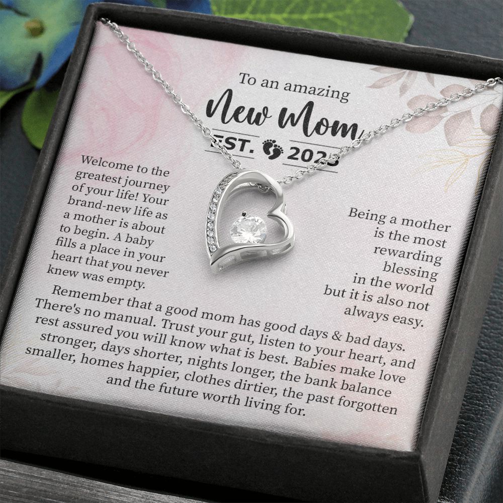 To an Amazing New Mom, Established 2023