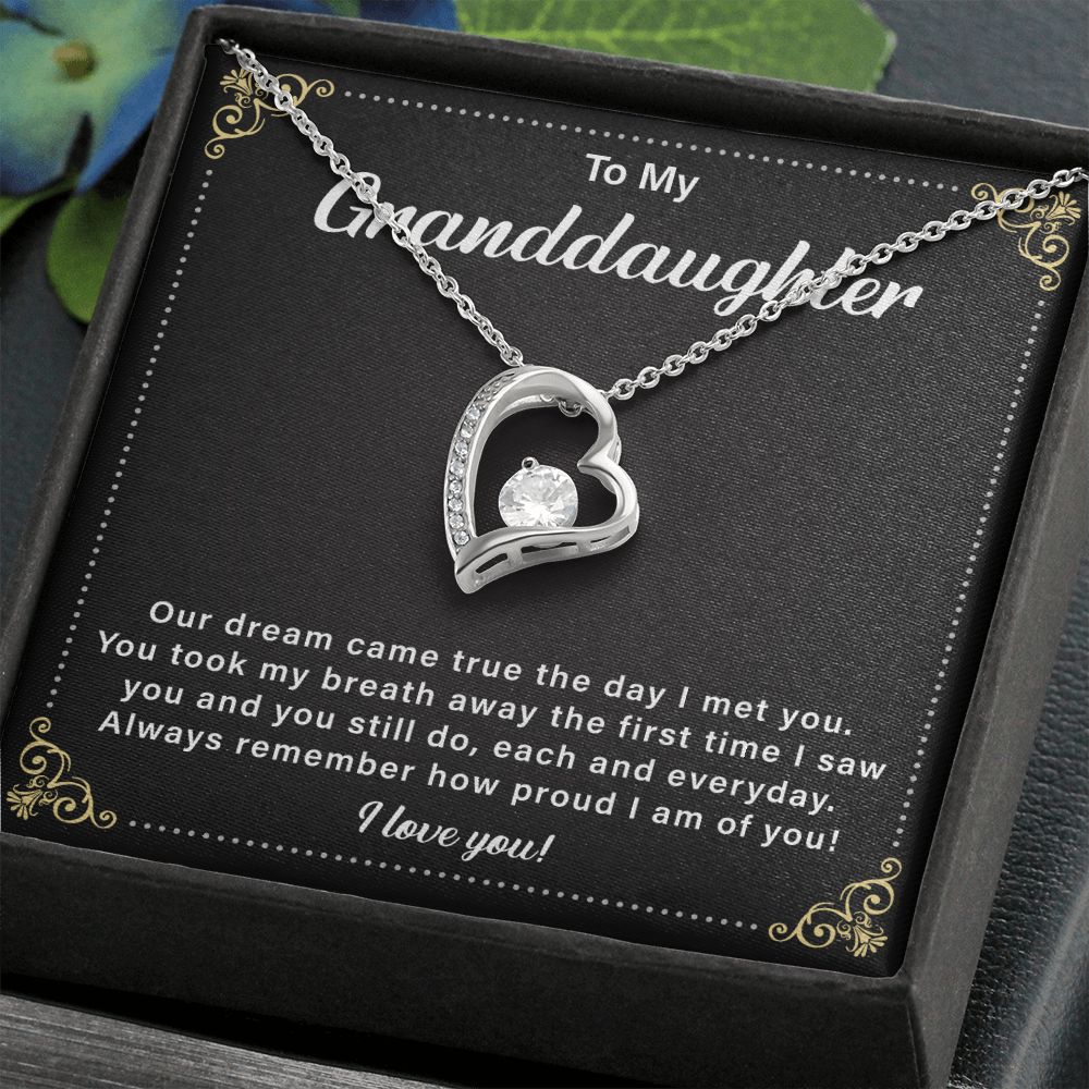 To My Granddaughter Our Dream Came True The Day I Met You