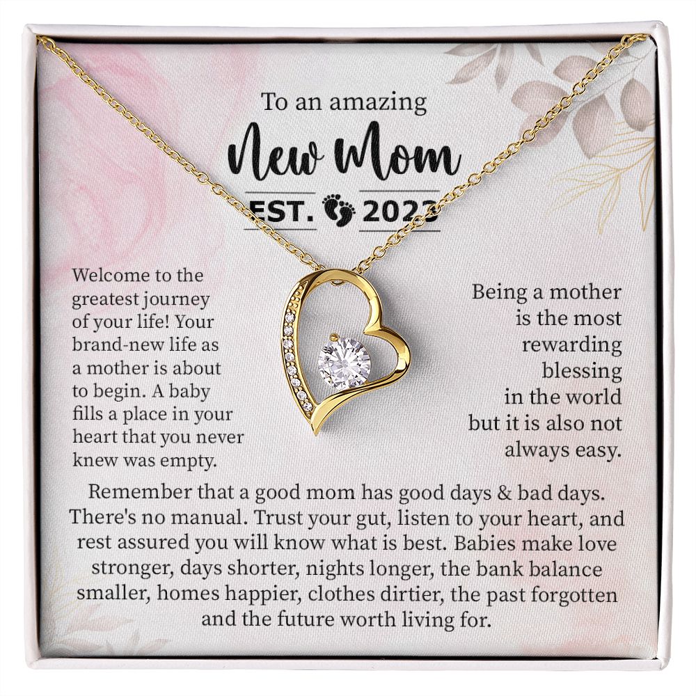 To an Amazing New Mom, Established 2023