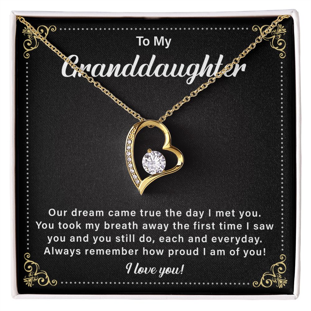 To My Granddaughter Our Dream Came True The Day I Met You