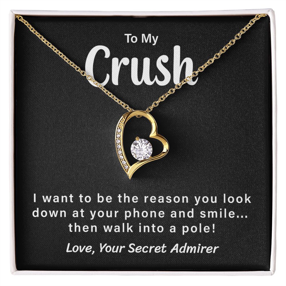 To My Crush Love, Your Secret Admirer