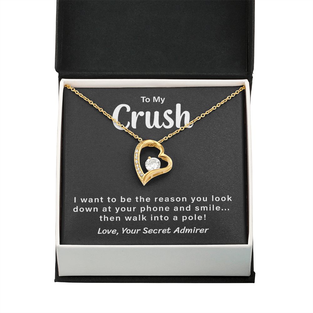 To My Crush Love, Your Secret Admirer