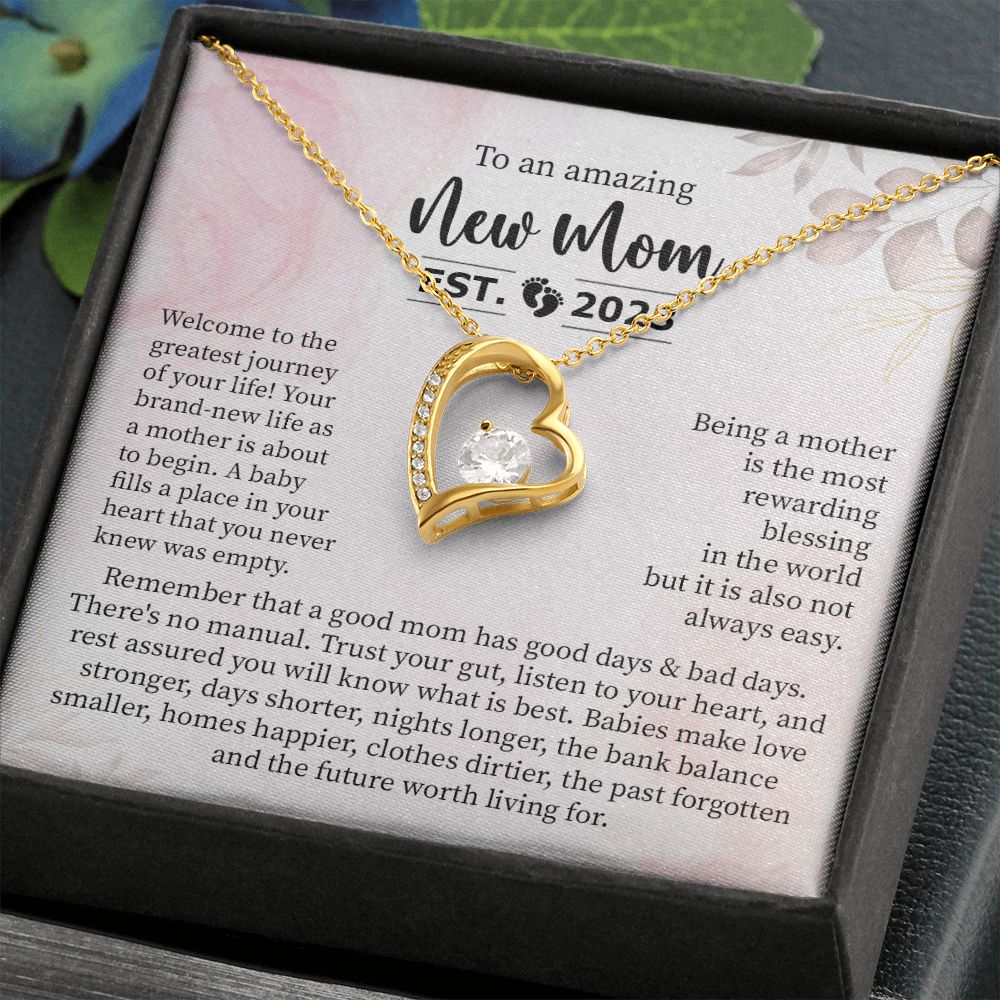 To an Amazing New Mom, Established 2023