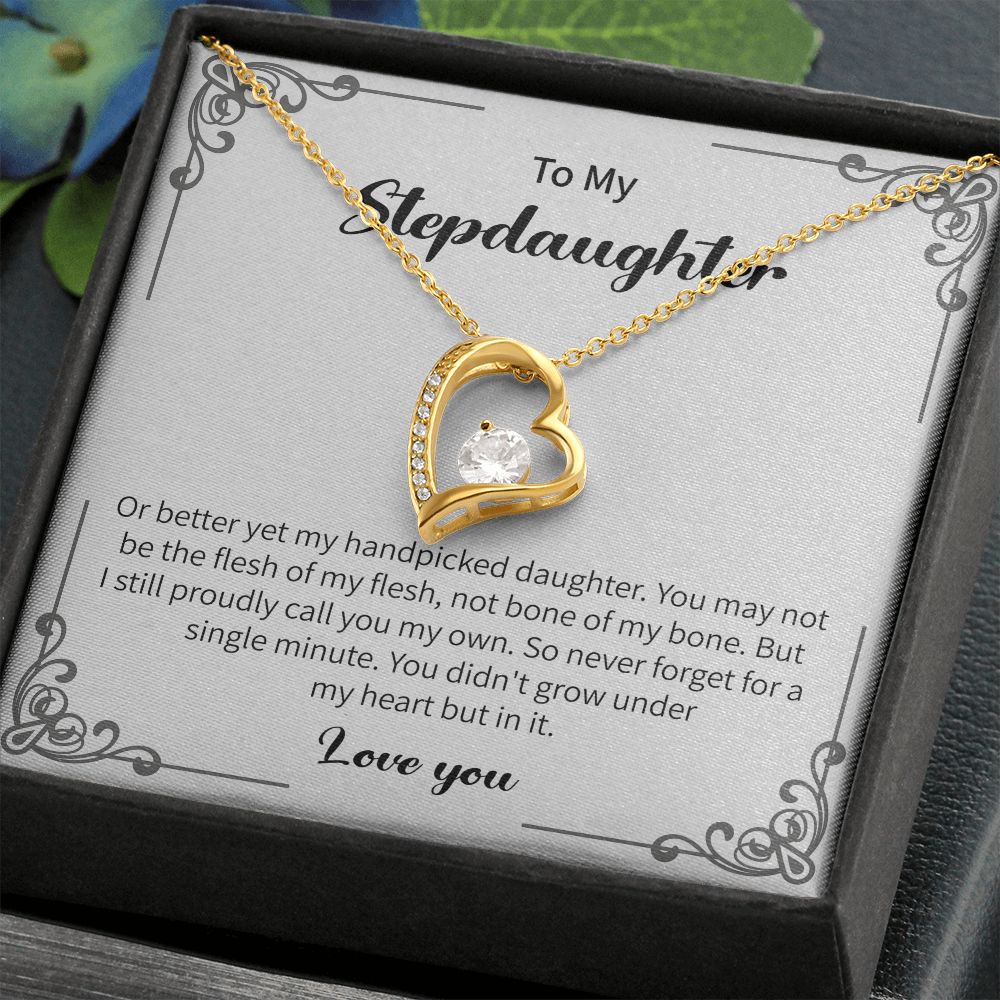 To My Stepdaughter You Didn't Grow Under My Heart But In It Love You