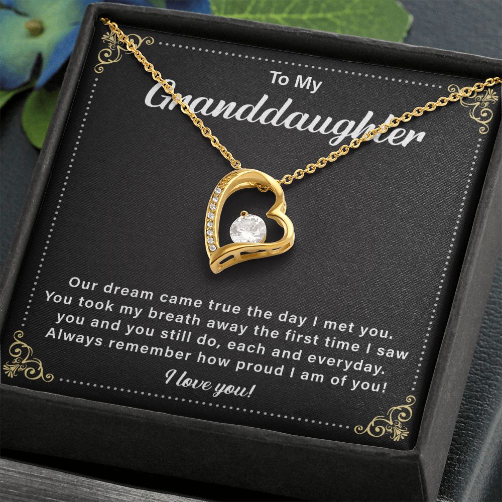 To My Granddaughter Our Dream Came True The Day I Met You