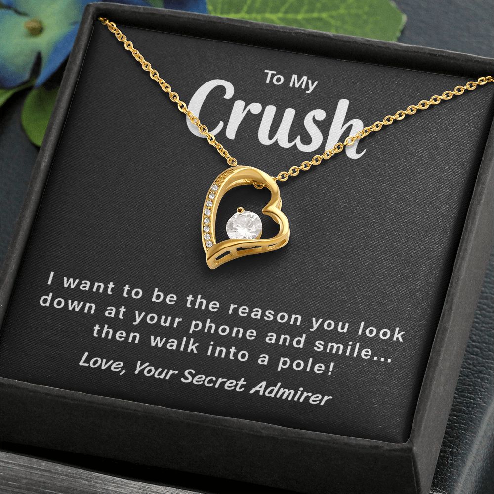 To My Crush Love, Your Secret Admirer