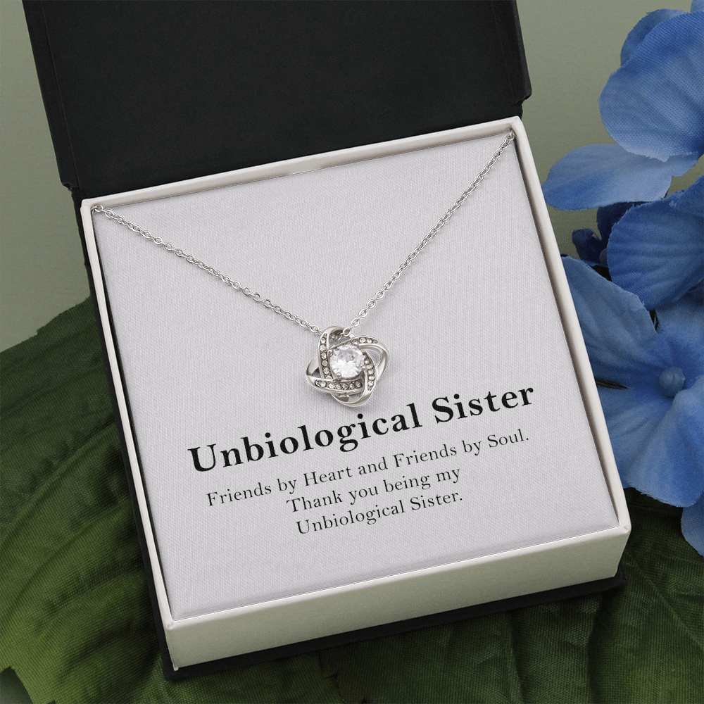 Unbiological Sister Necklace Gift – Friendship Jewelry with Message Card