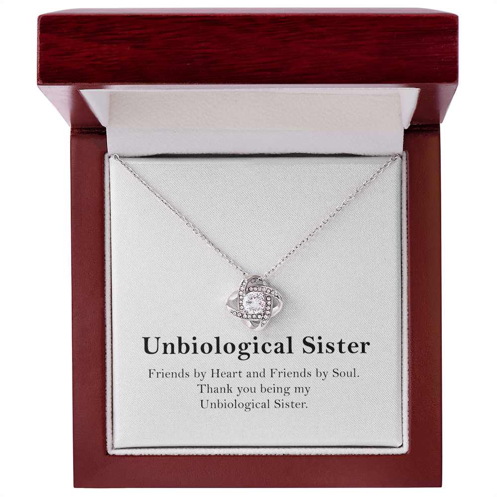 Unbiological Sister Necklace Gift – Friendship Jewelry with Message Card